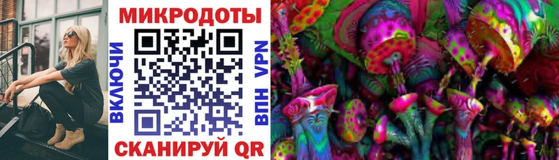 купить закладку Дорогобуж Галлюциногенные грибы GOLDEN TEACHER